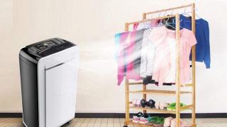 苏州进入梅雨季节 家庭用除湿机脱销